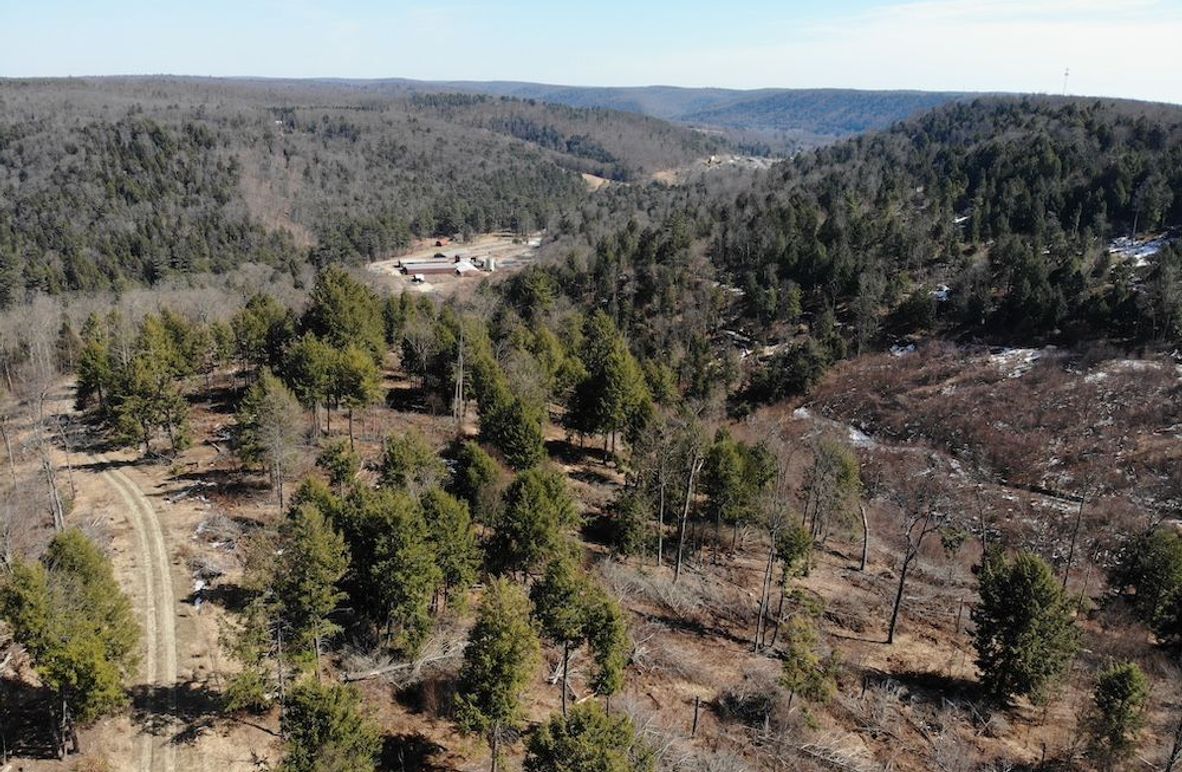 DJI_0106