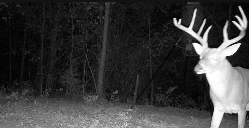 Screenshot 2026-03-06 at 2.14.41 PM