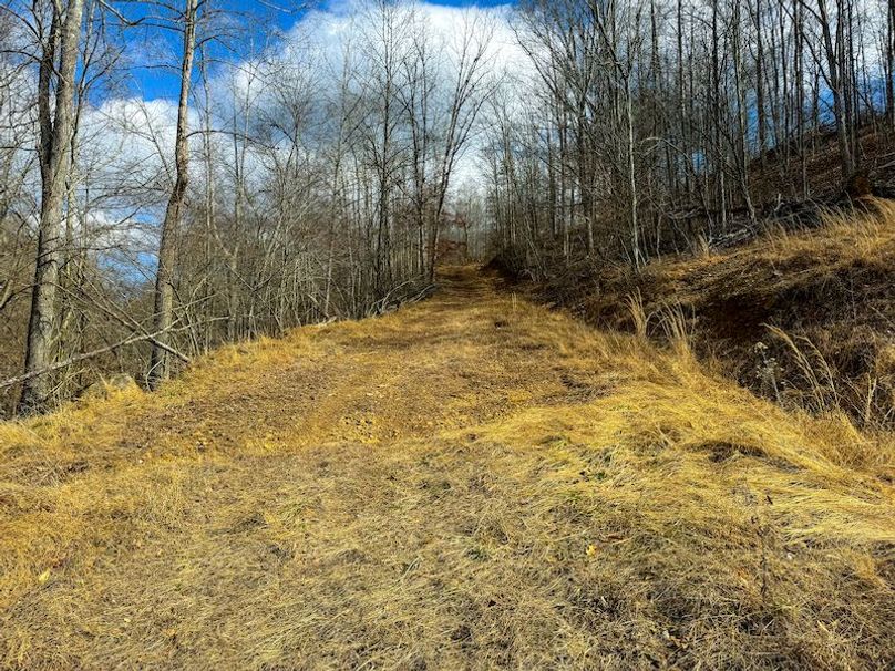 Doddridge, WV 79.08 AC Adams-36