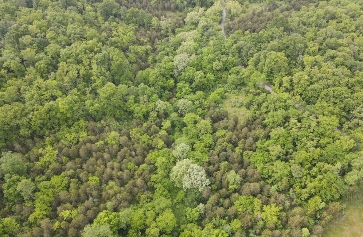 DJI_0531_W
