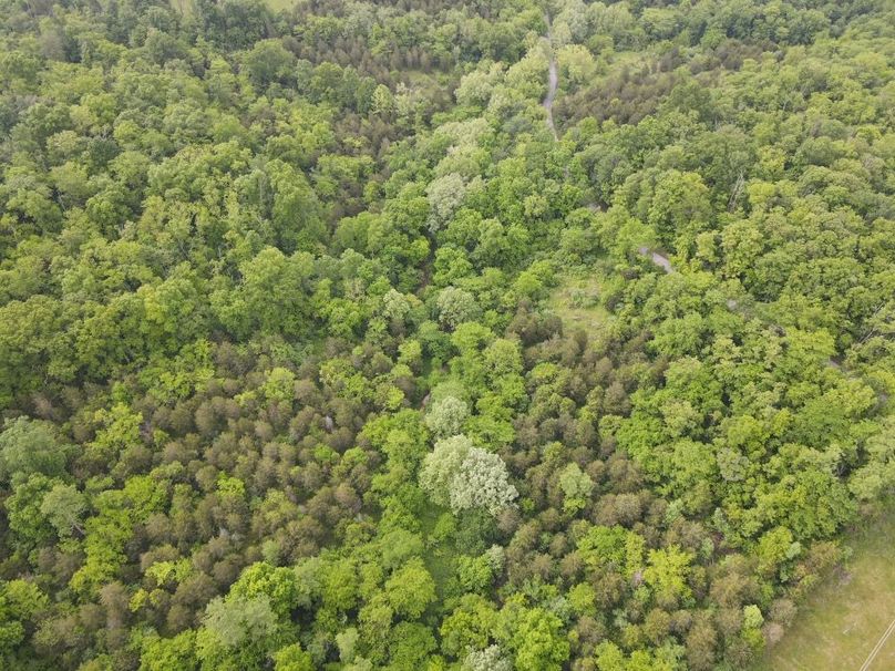 DJI_0531_W