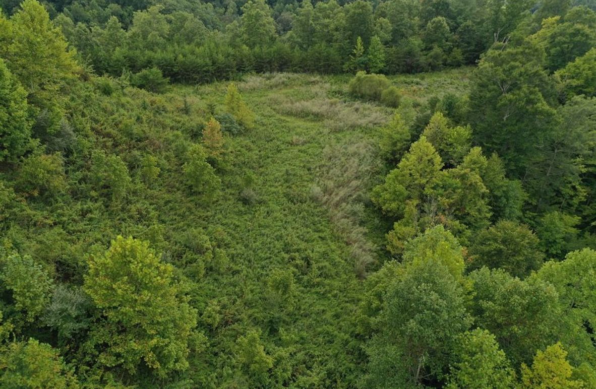 004 low elevation drone shot of an upper elevation field in the south portion of the property