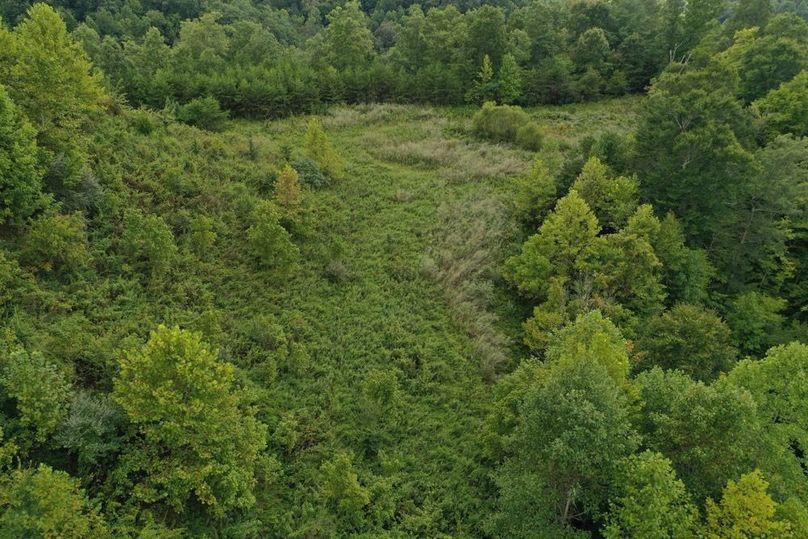 004 low elevation drone shot of an upper elevation field in the south portion of the property