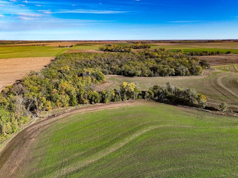 Dickinson Co, 154.5_006