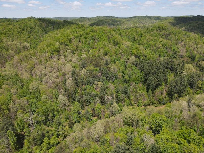 007 gorgeous views looking north over the property