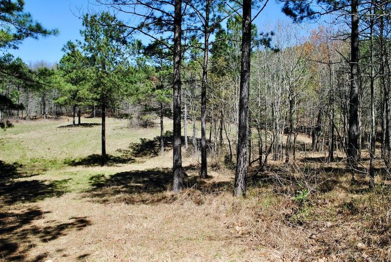Large Hunting Recreational Property Bordering USFS/Wilderness