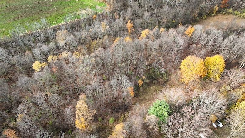 Wayne_18.11_Koehler Photo 41