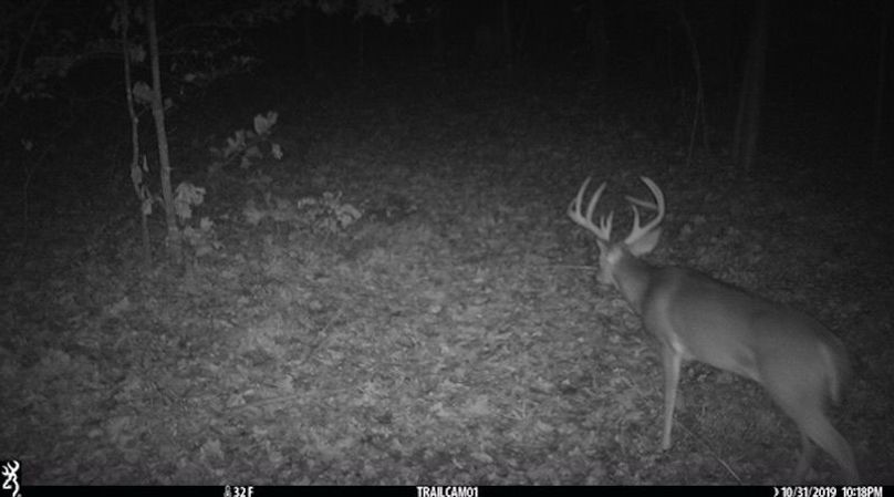 Buck Triple B #1 2