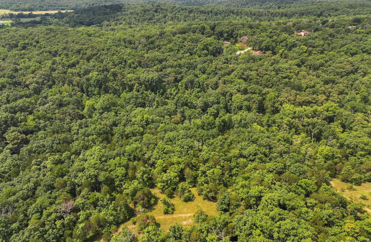 DJI_20250730112722_0504_D