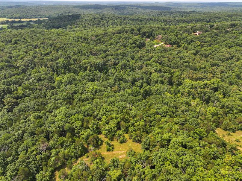 DJI_20250730112722_0504_D