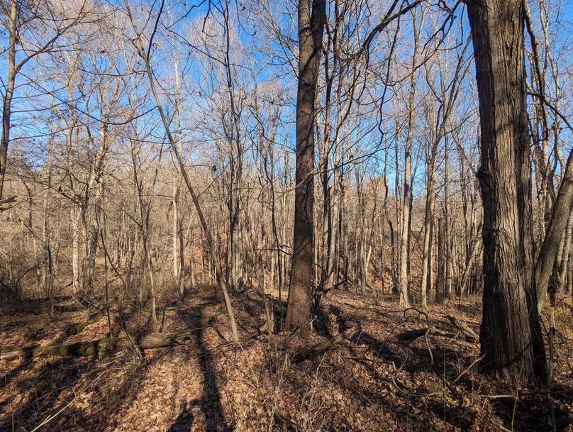 PXL_20231103_153201119