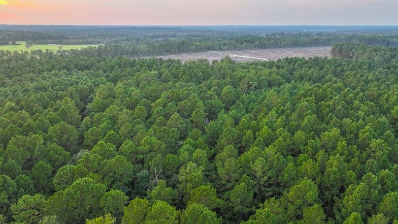 DJI_20250918184851_0277_D