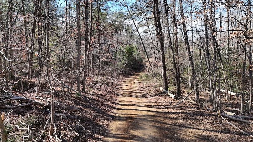 dji_fly_20260113_123658_0149_1768752069821_photo