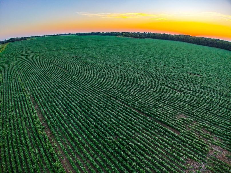 DJI_20250816064643_0687_D