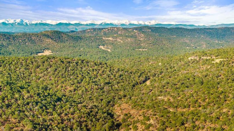 DJI_20251125100149_0062_D