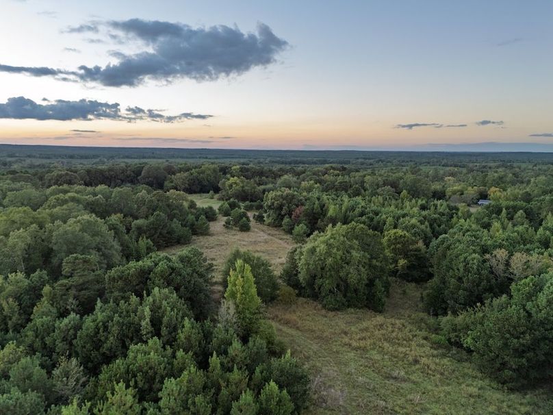 32 Edited Harison co. 206 - Ed Robb-056