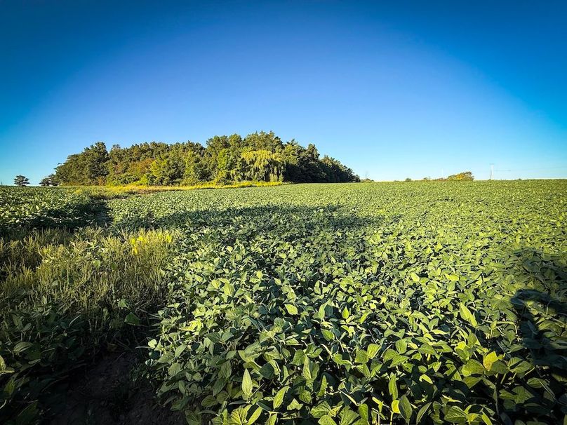 Copy of Wood Tract 4 Photo 14