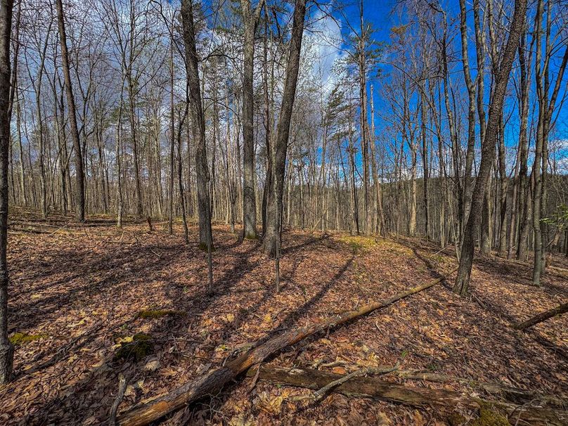 Wirt, WV 62.5 AC Full-20