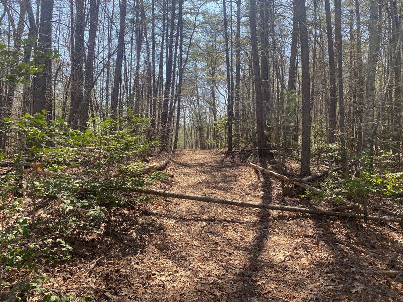 Cherokee 69.74 Stiles-19