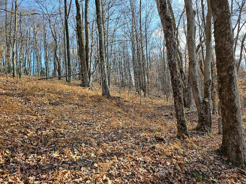 photo_2d7dcc39-4313-4c6f-a2bc-9cd74f7a9990