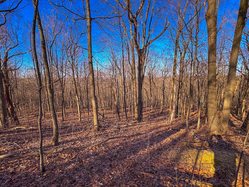 Pleasants, WV 81 AC Barron-37