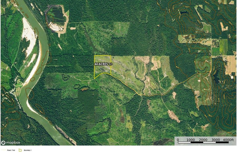 Aerial #1 Approx. 44 Acres Clarke County, AL copy