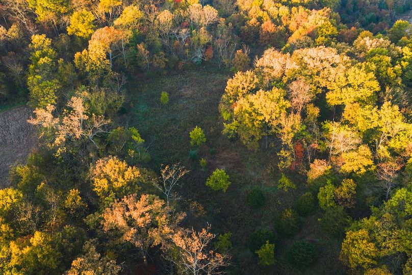 DJI_20251031075643_0085_D-HDR