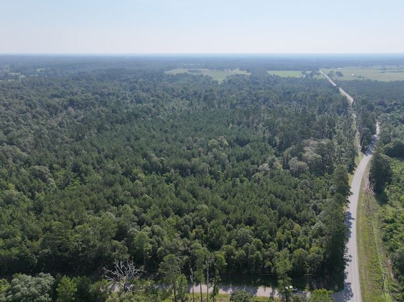 dji_fly_20250818_095306_0366_1755614657793_photo