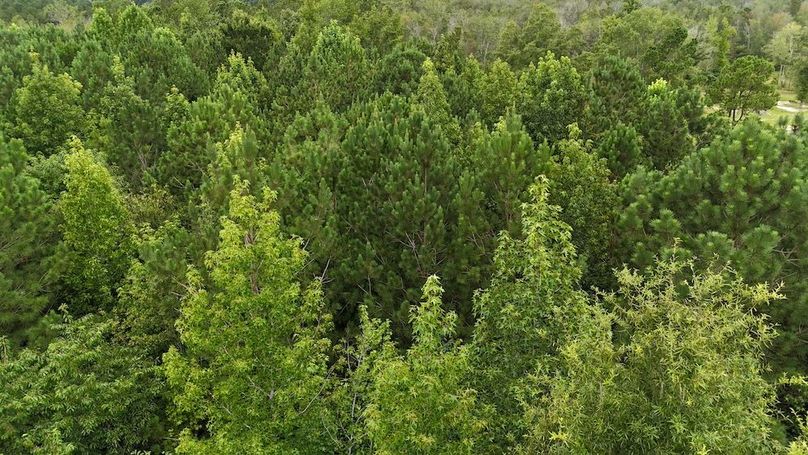 dji_fly_20250715_111028_0590_1752592277413_photo