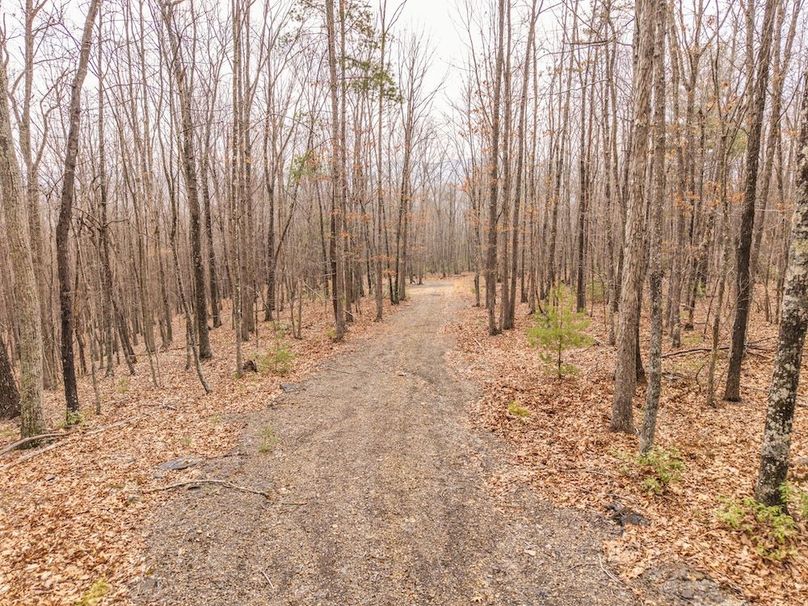 DJI_20260304160533_0035_D