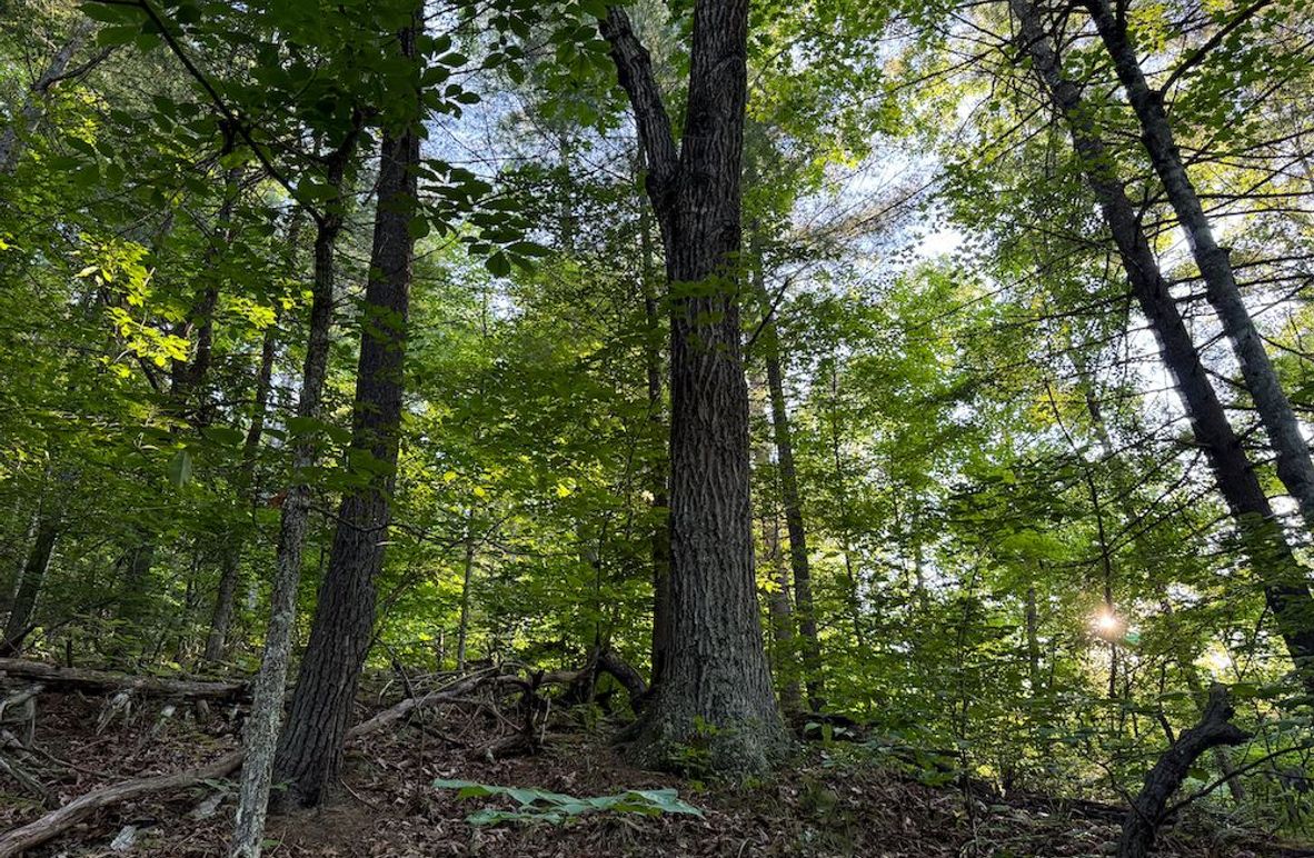 Ritchie, WV 92 AC Thompson-03