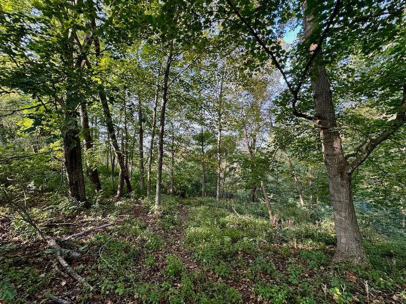 Richland 199Ground - 37