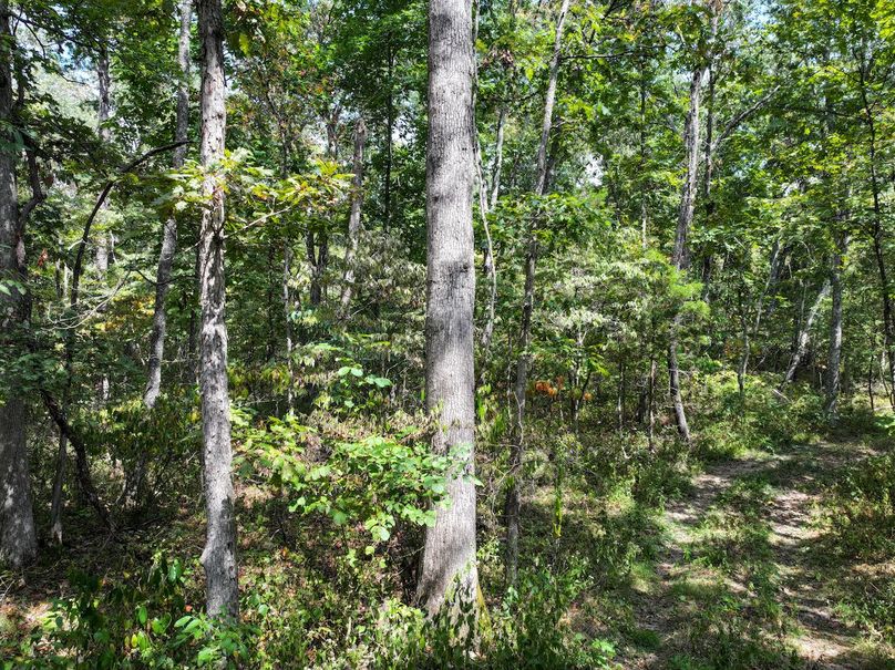 DJI_20250904124711_0587_D