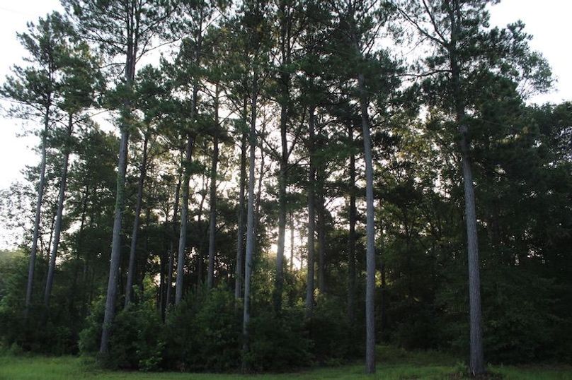 DF47F721-70C3-4C83-8C6F-888578C9B65C_1_105_c