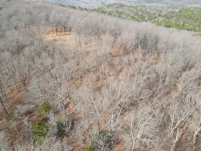 DJI_0640