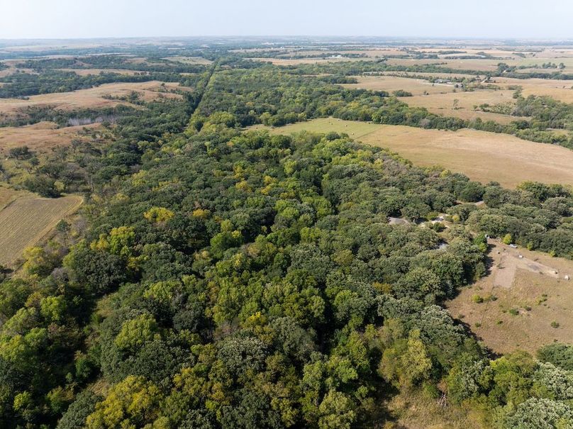 20240913-DJI_20240913104954_0102_D