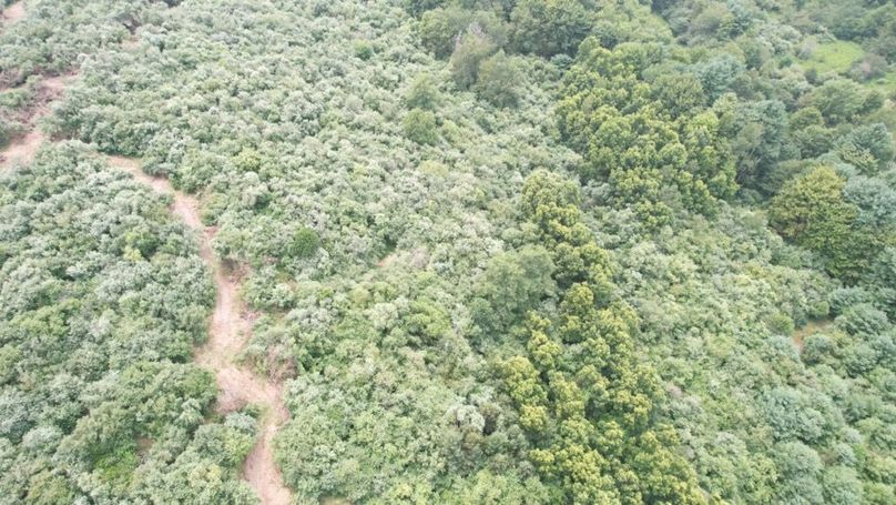 dji_fly_20250806_130132_565_1754499818088_photo