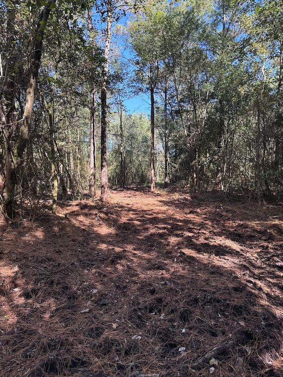 DJI_20251003_104820_159