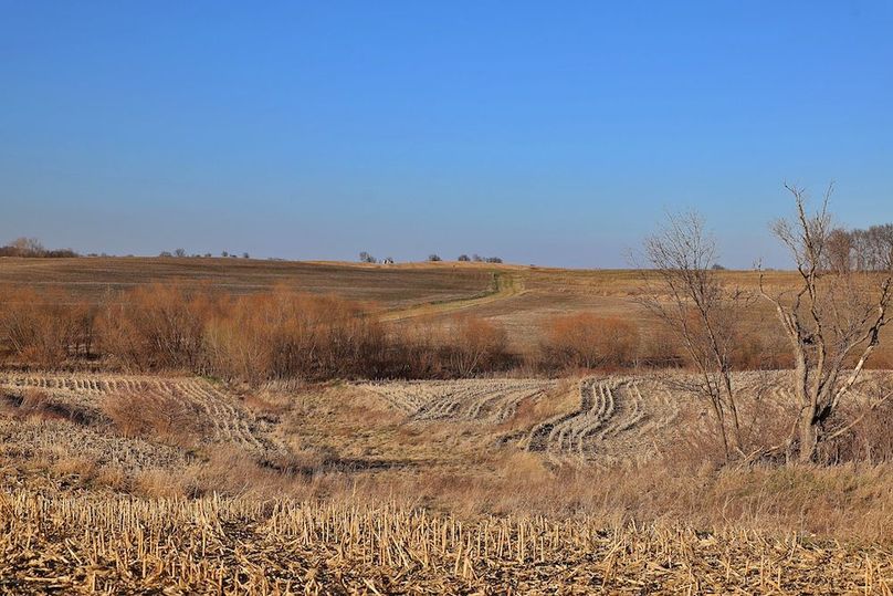 6 Buchanan 252.69 Tract 2