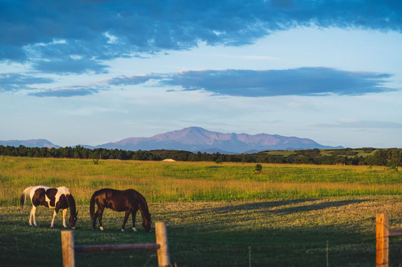Douglas CO 35 Prettyman - 019 Equestrian
