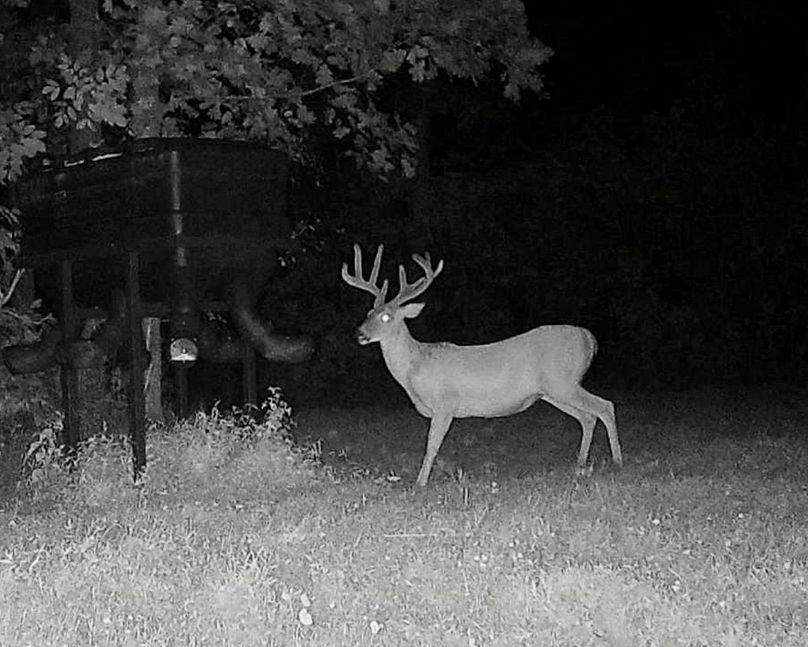 Copy of 865814041040021-100-4-08052024214506-HD-W1000334