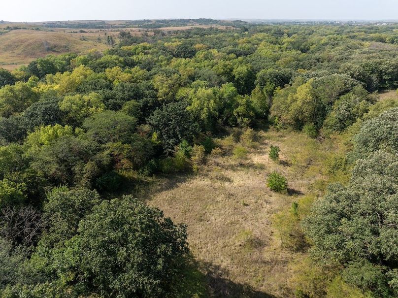 20240913-DJI_20240913110032_0133_D