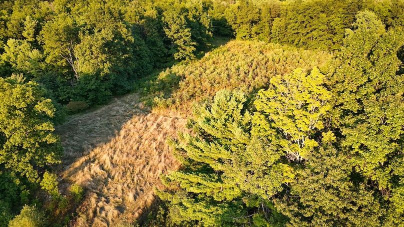 Ontario_33.3_Proseus Photo 47