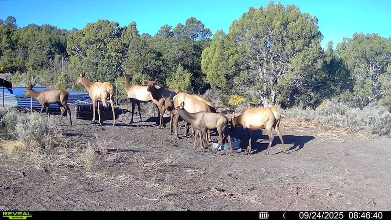 016578004060205-100-3-09242025084640-V-SYFW00275 (1)