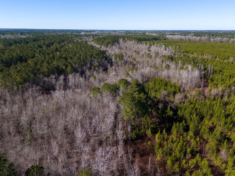 Pender NC 382 - Edits-36