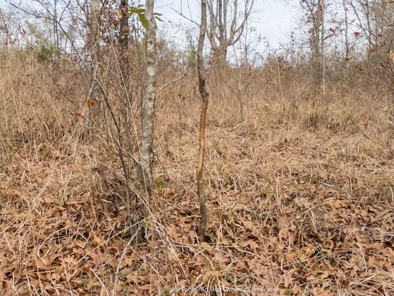 Holmes County - 108 - Rodriguez-65