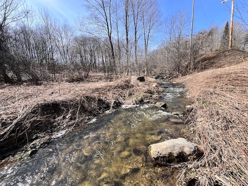 Lewis_26_Somberg Photo 22