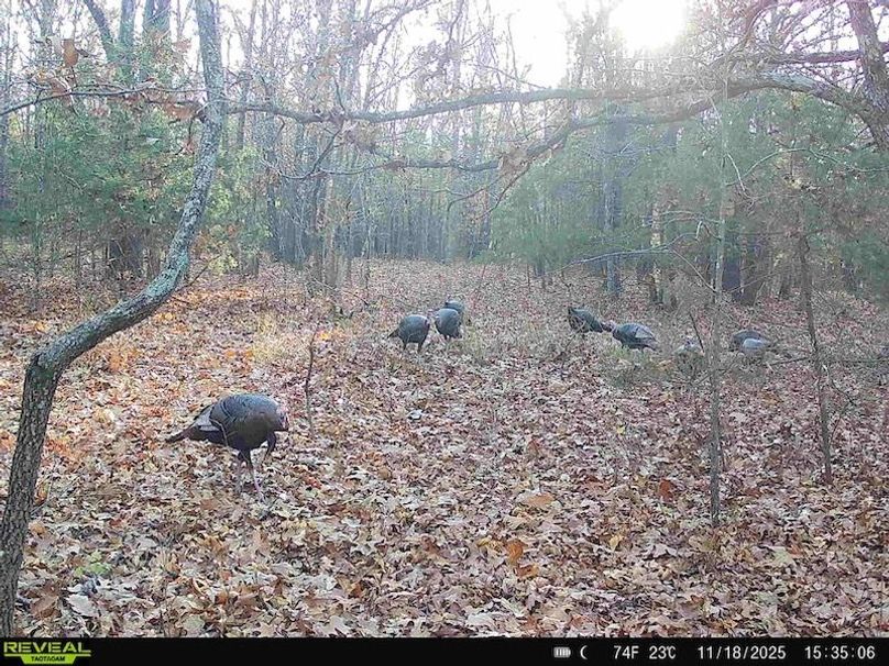 864049056865829-80-2-11212025114444-HD-SYFW5173