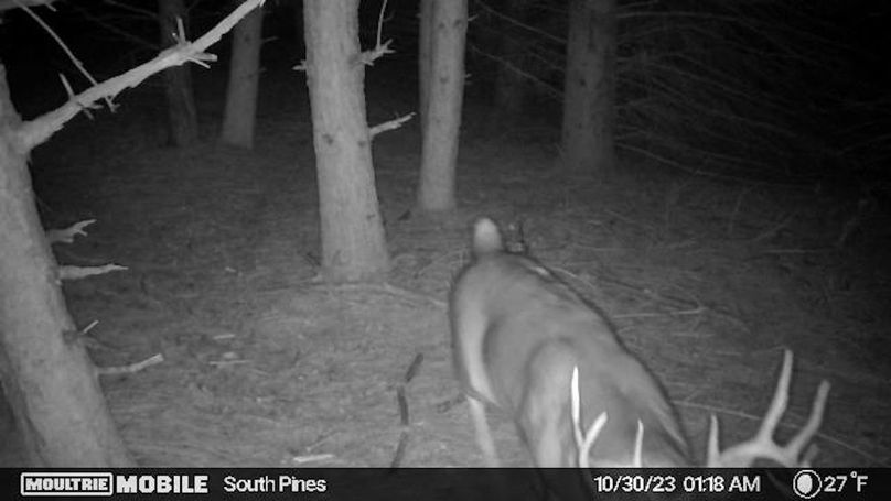 Temp_1082383-20231030061910-20231030011823_000726