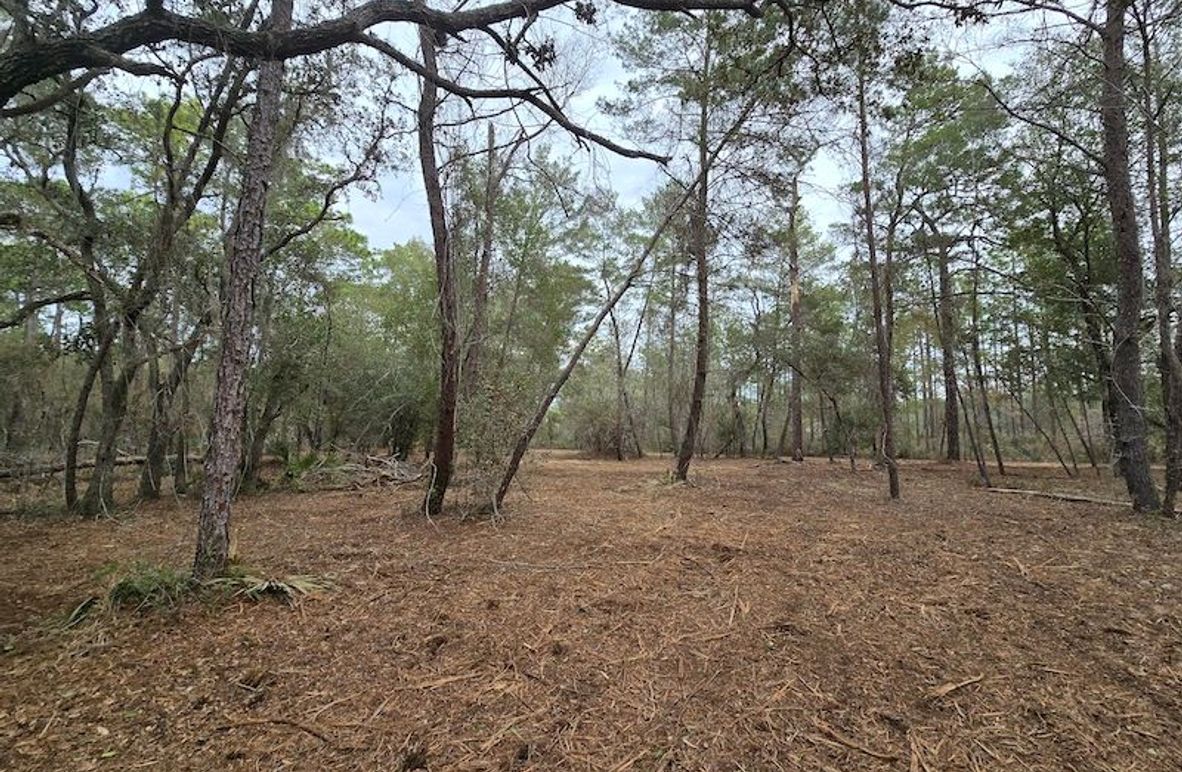 5ac, Marion, Andrew Goering04